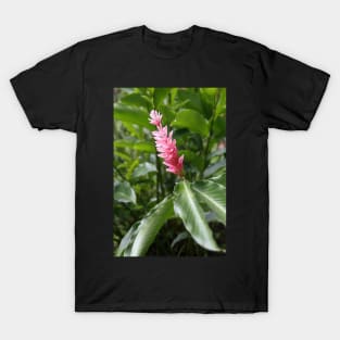 Ginger Flower T-Shirt